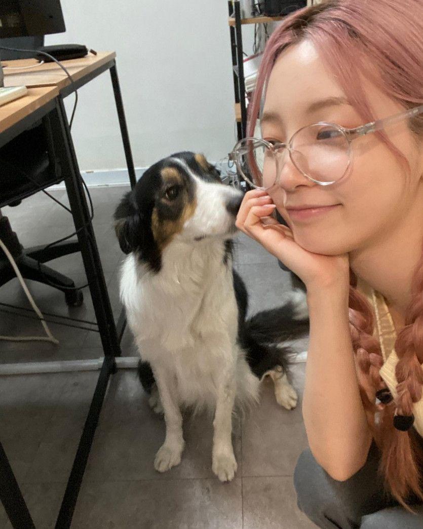 로켓펀치 인스타_멍멍이와 연희1