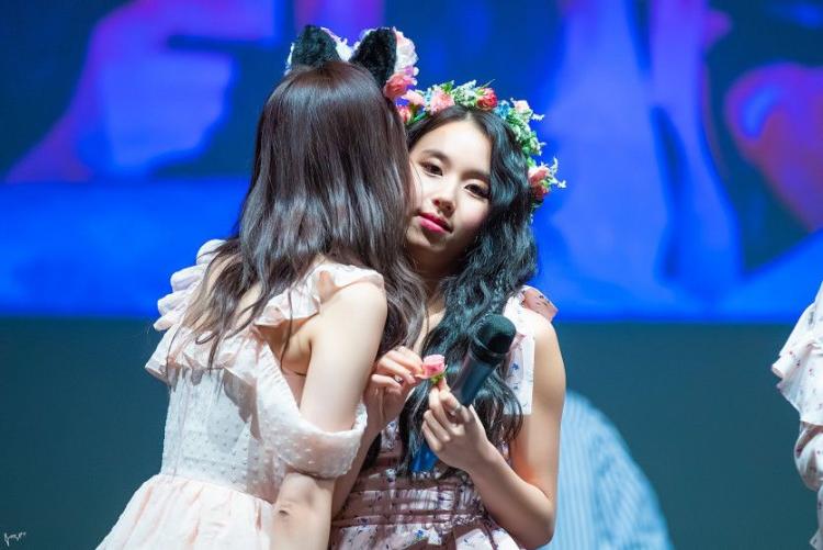 트와이스 채영0