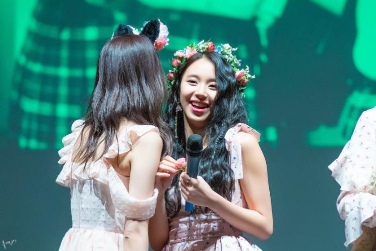 트와이스 채영2