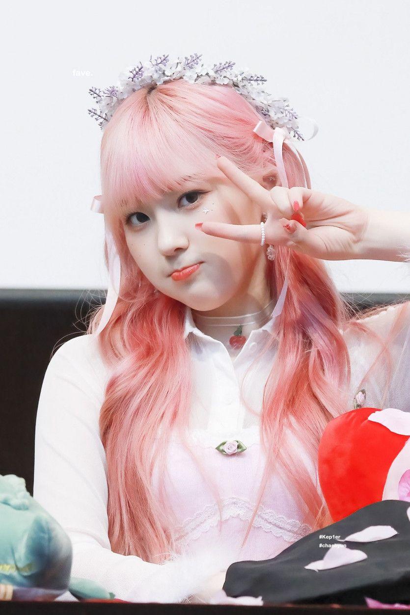케플러 김채현1