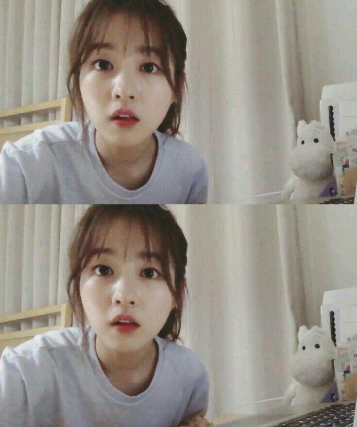 박보영0