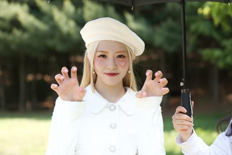 DREAMCATCHER JIU0