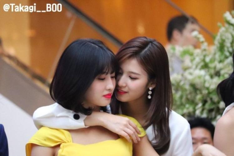 항상 붙어있는 사나 모모0