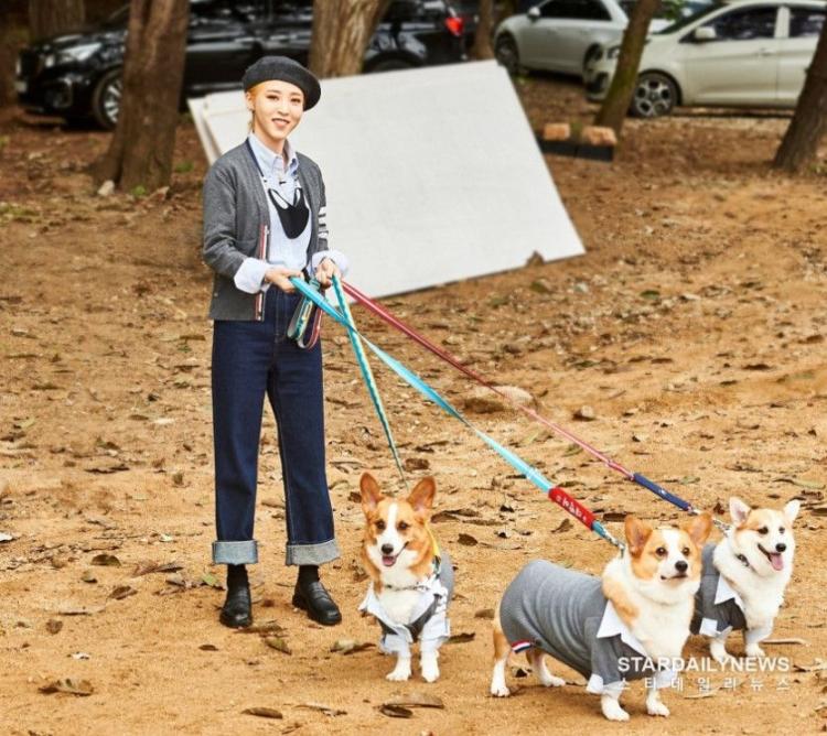 아이돌 멍멍 선수권대회3