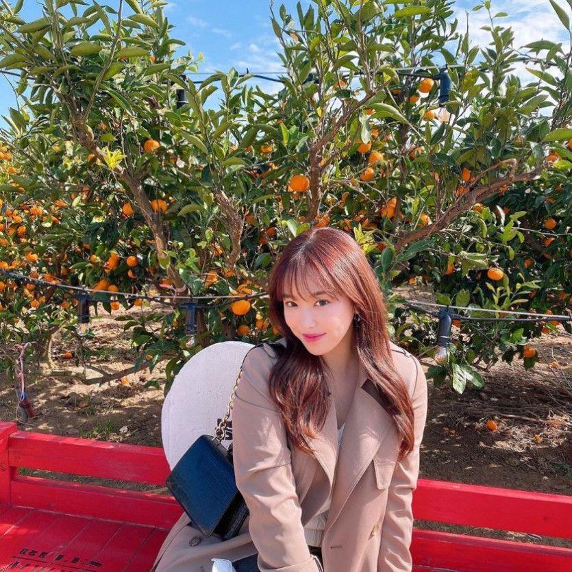 감귤밭에 간 레이첼2