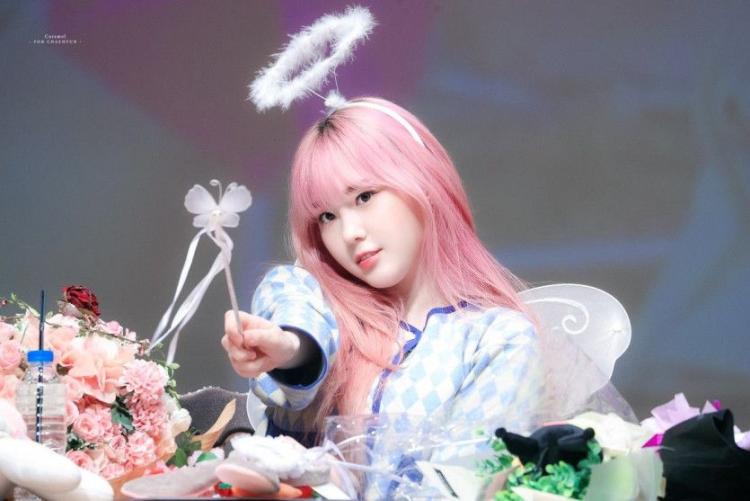 케플러 김채현0