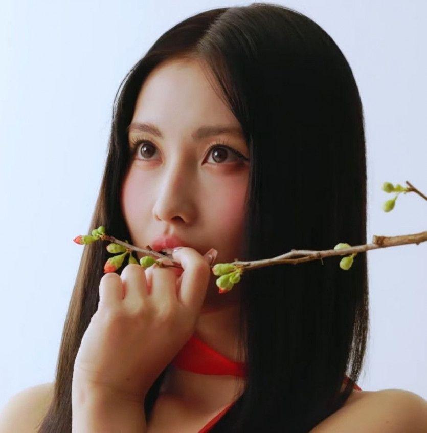 트와이스 모모2