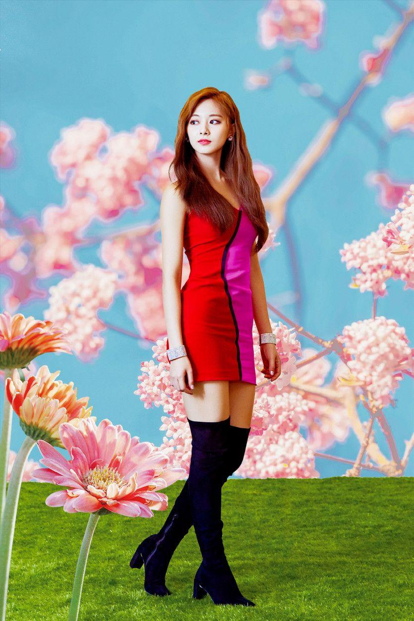 트와이스0