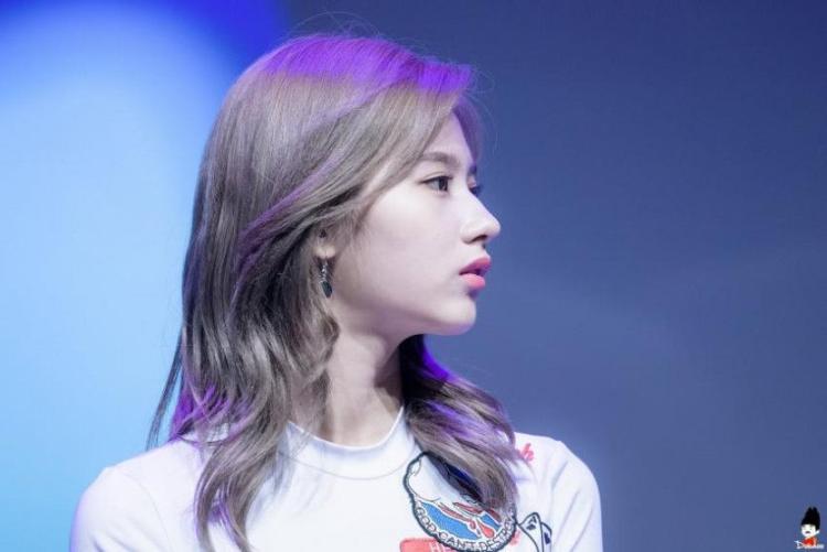 트와이스 사나0