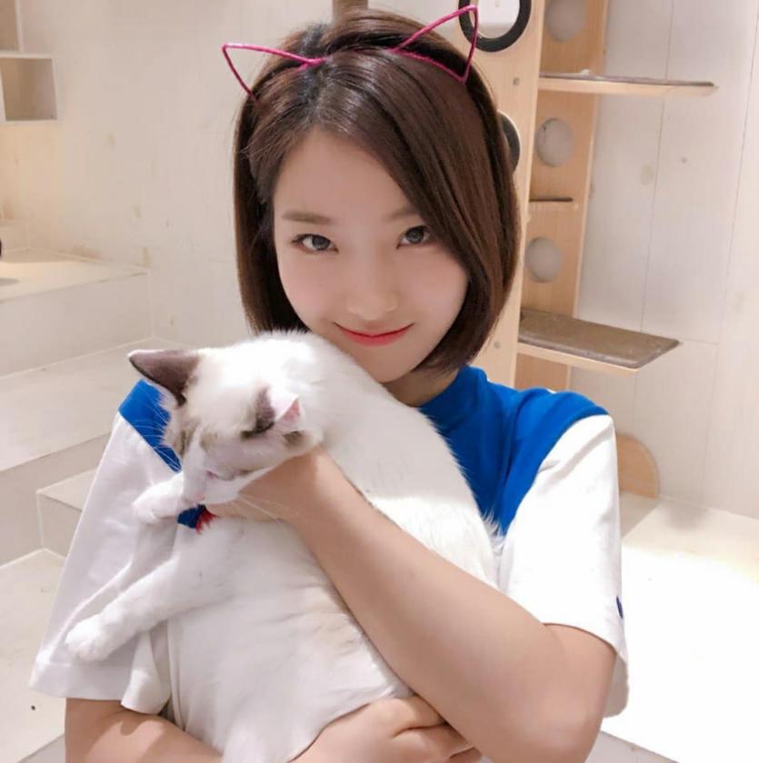 고양이랑 사진찍는 이나경0