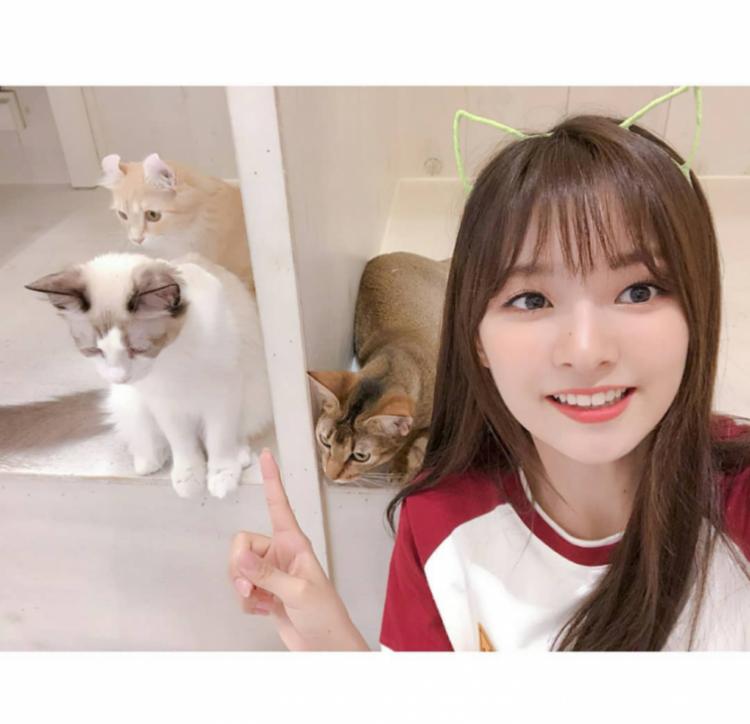 고양이랑 사진찍는 이나경1