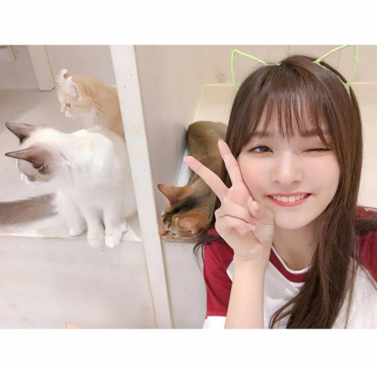 고양이랑 사진찍는 이나경2