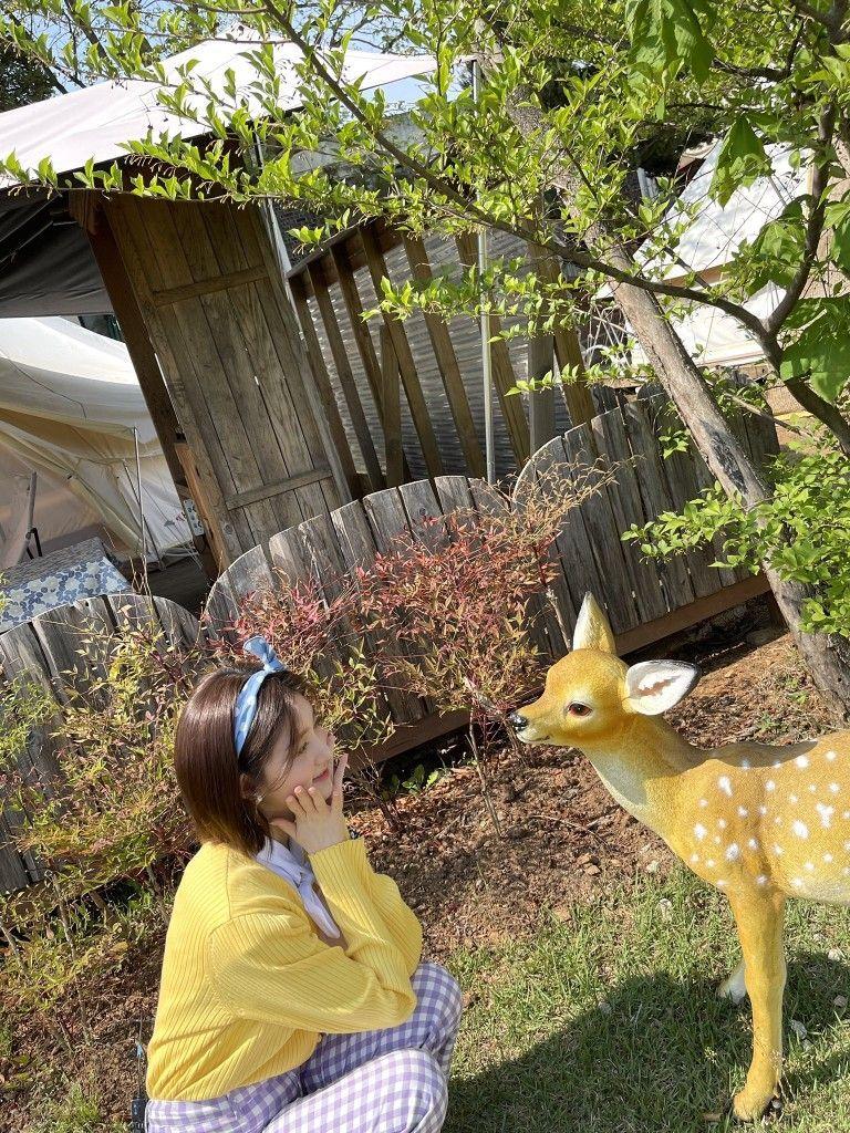 아이브 가을0