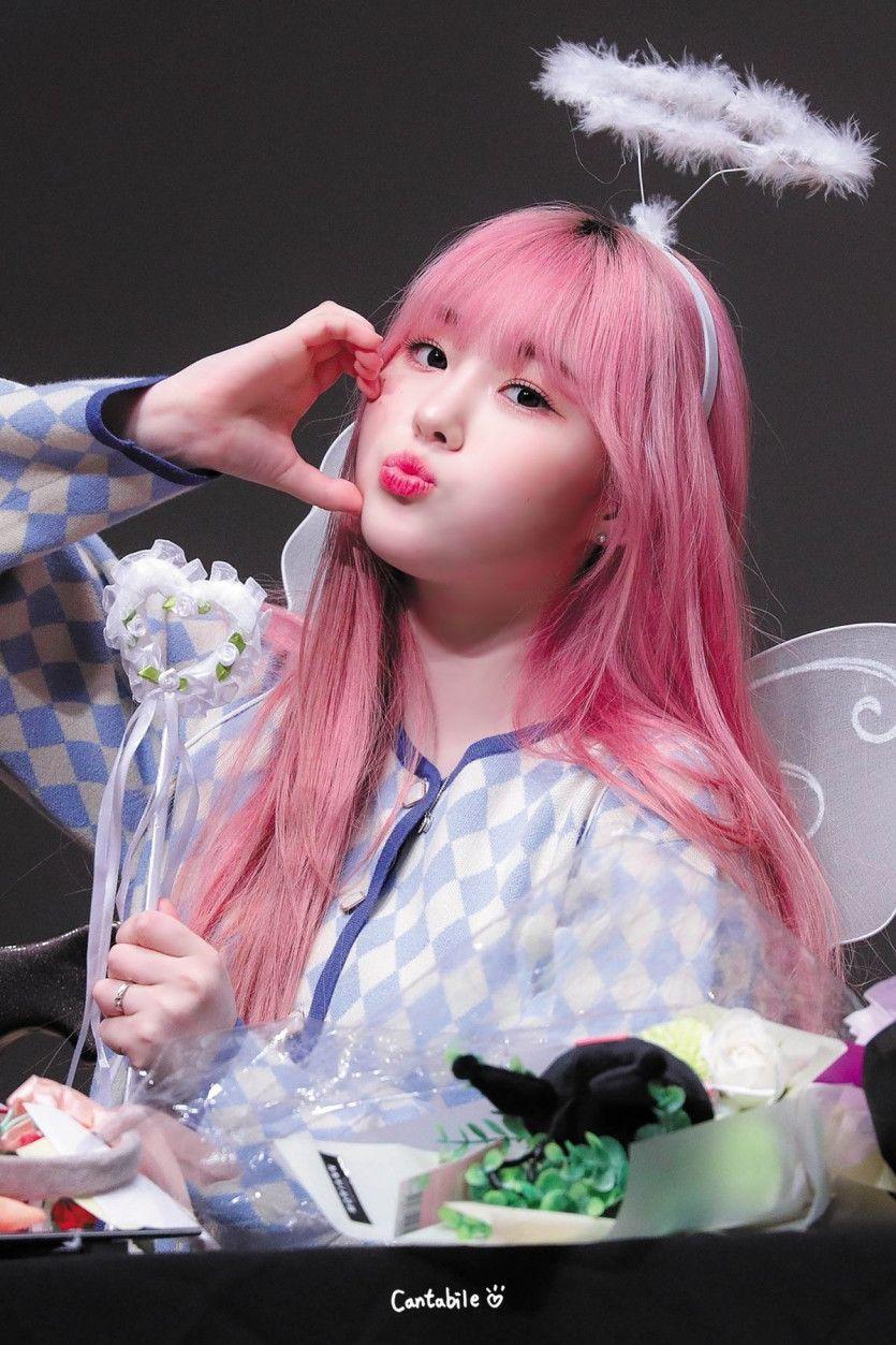 케플러 김채현0
