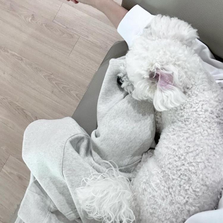 정은지1