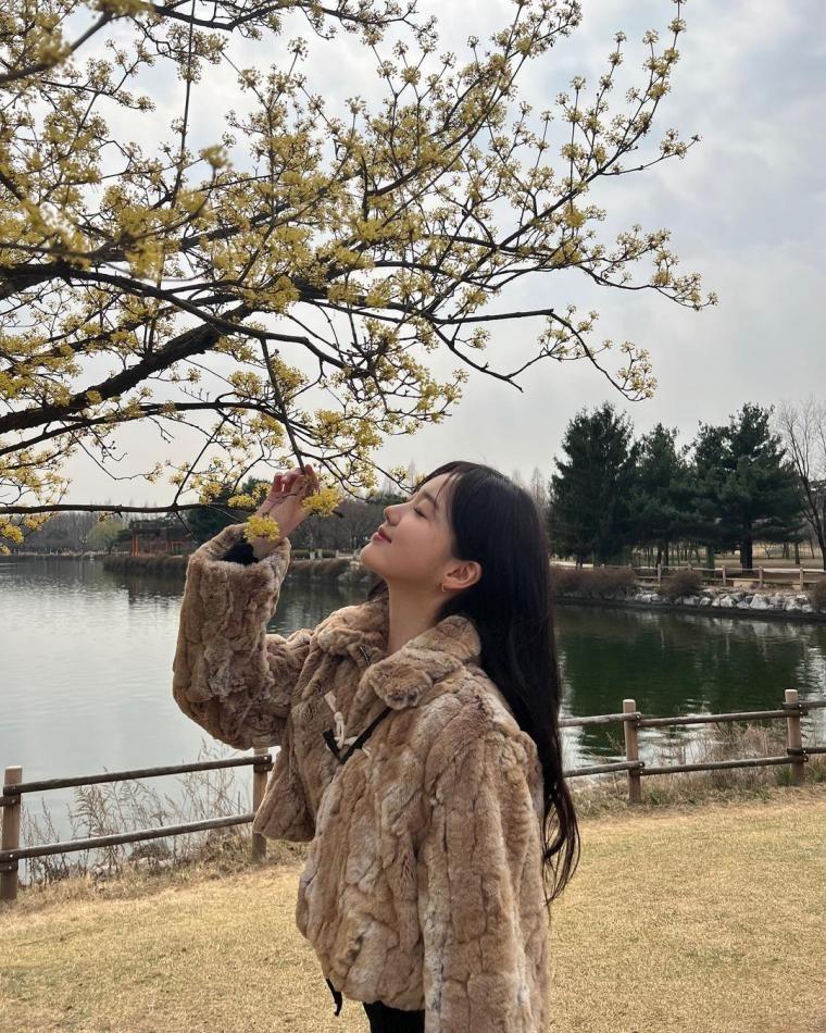 강나언3
