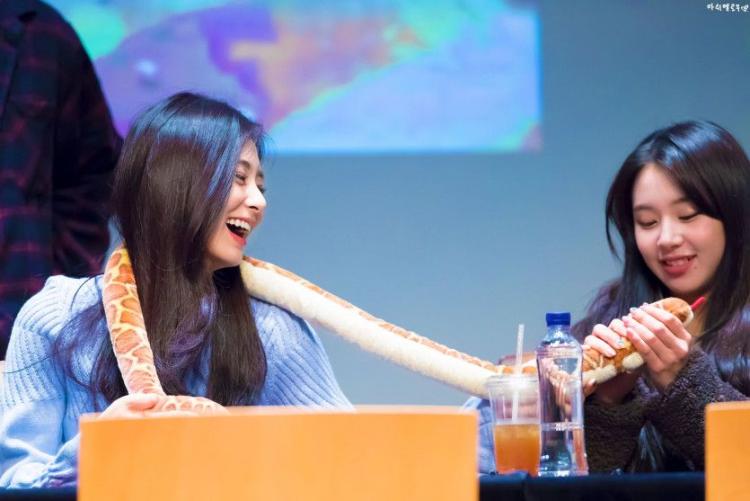 트와이스 쯔위,채영0