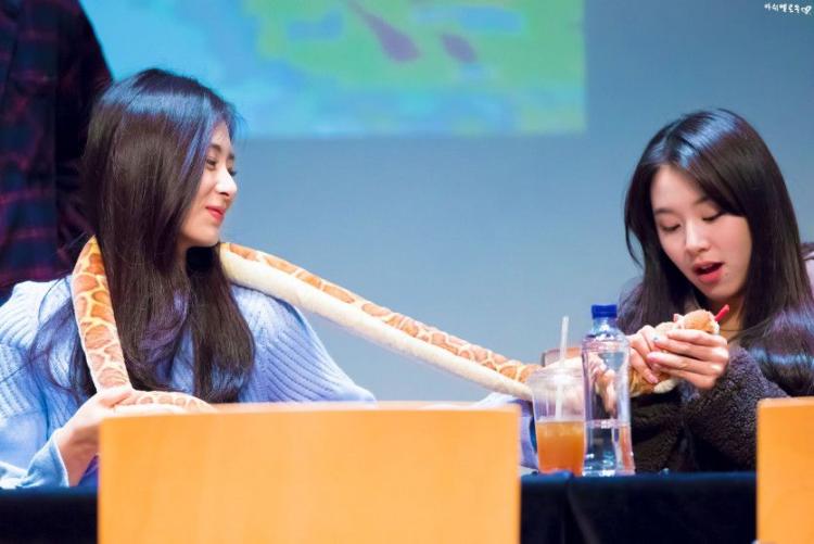 트와이스 쯔위,채영2
