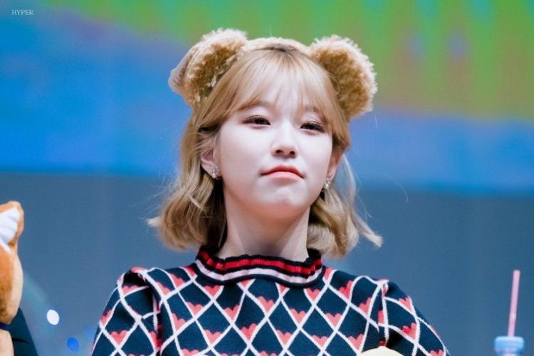 주먹이 들어간다는 백지헌 ㄷㄷㄷ1