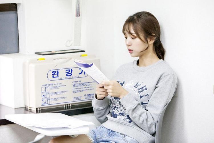 채수빉0
