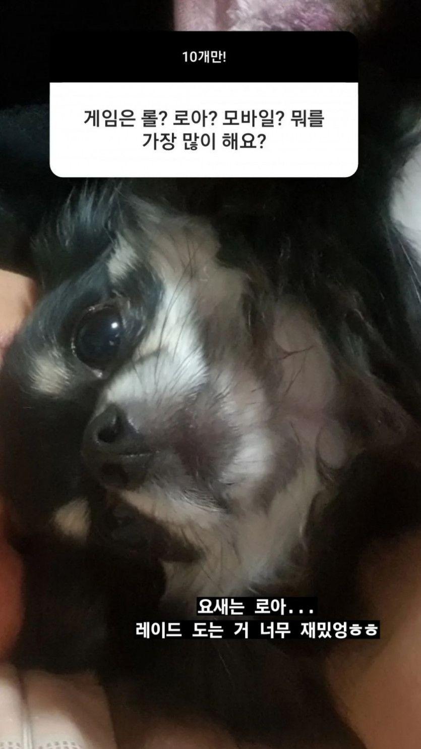 분망 디트 서지수0
