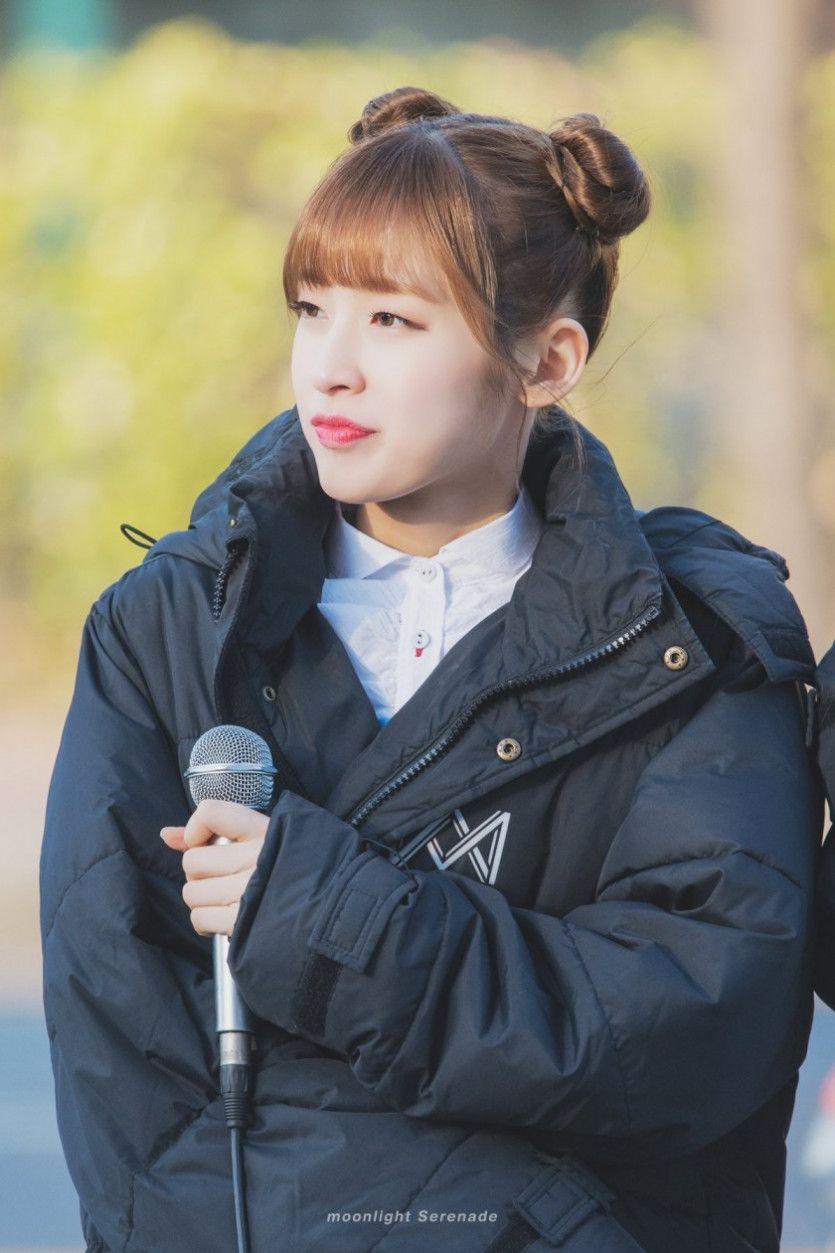 아린이4