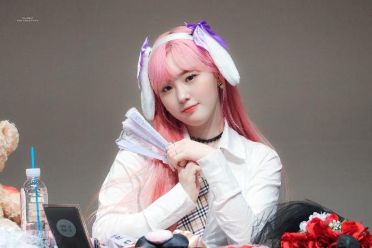 케플러 김채현0
