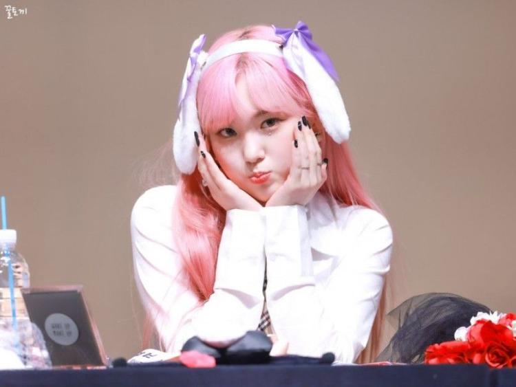 케플러 김채현2