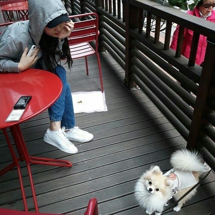 나연이랑 반려견 쿠크0