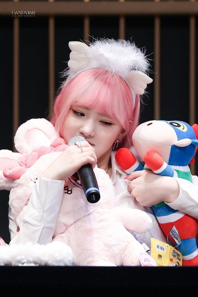 케플러 김채현0