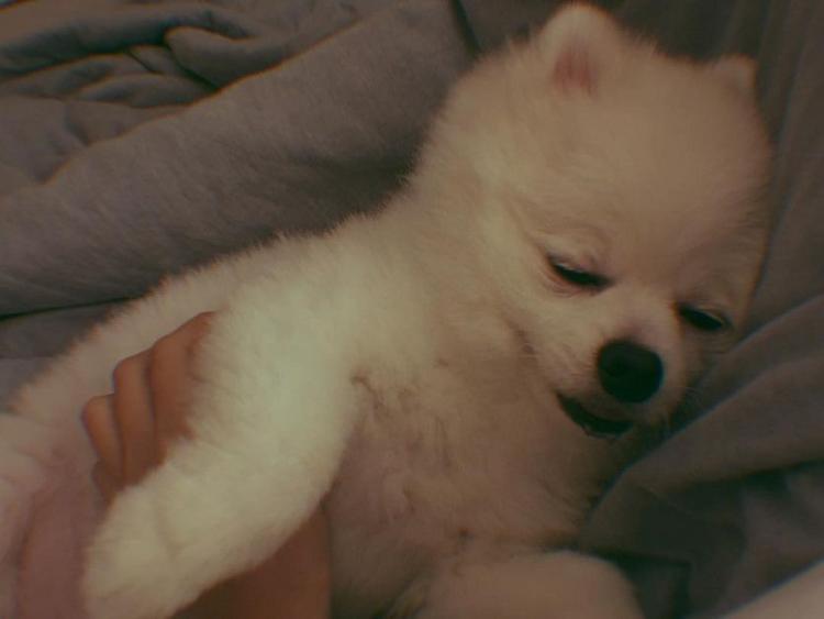 외출했다 돌아온 도희가 발견한 것은? ( 6p )3