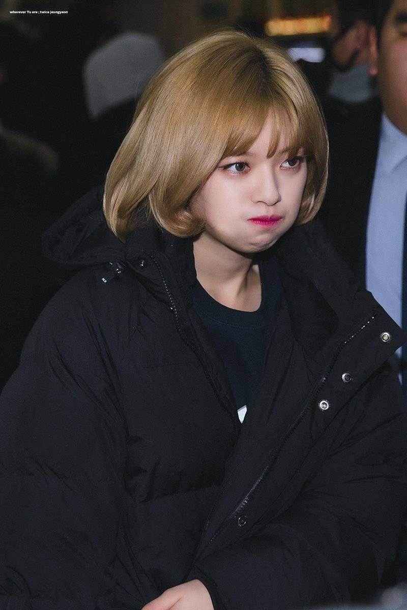 정연1