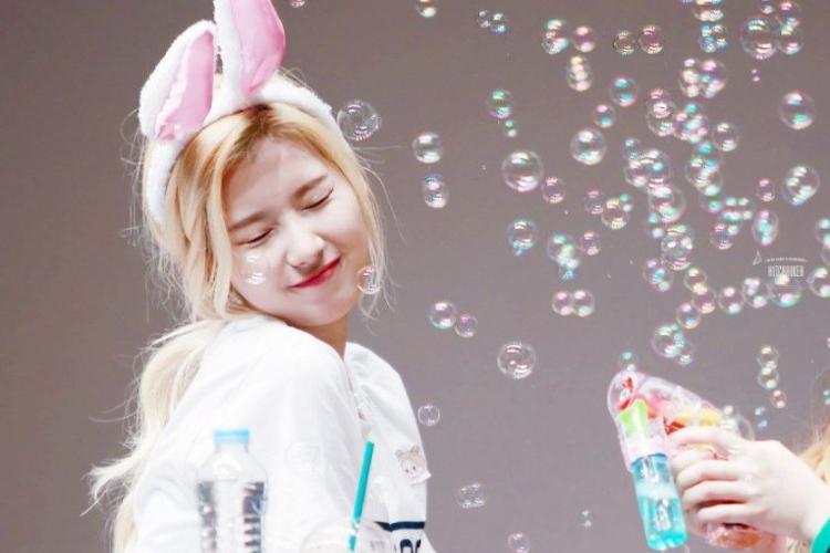 트와이스 사나0