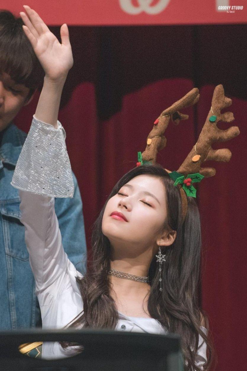 사나4