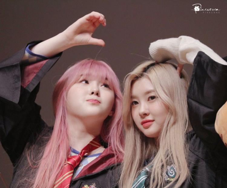 케플러 김다연0
