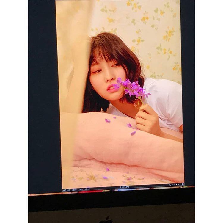 모모스타그램3