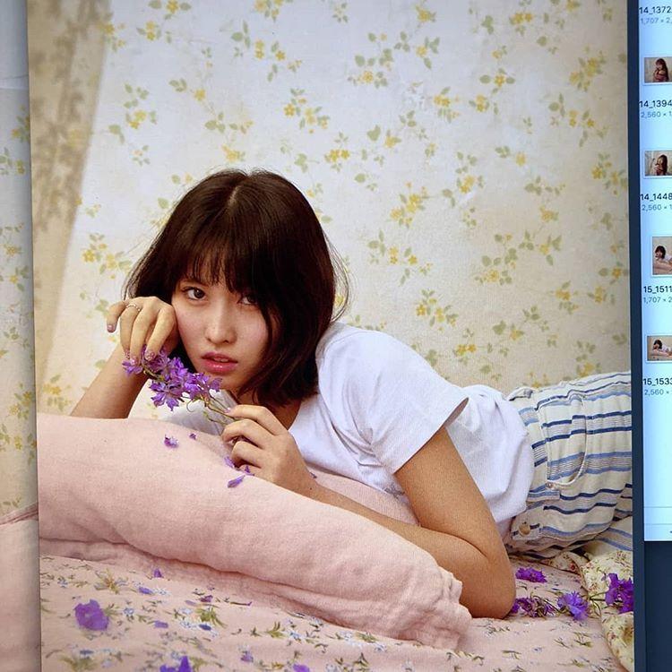 모모스타그램4