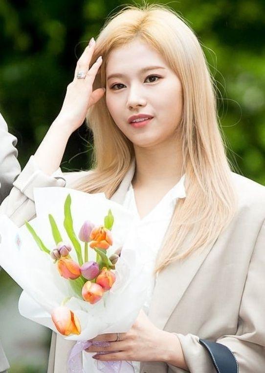 사나1