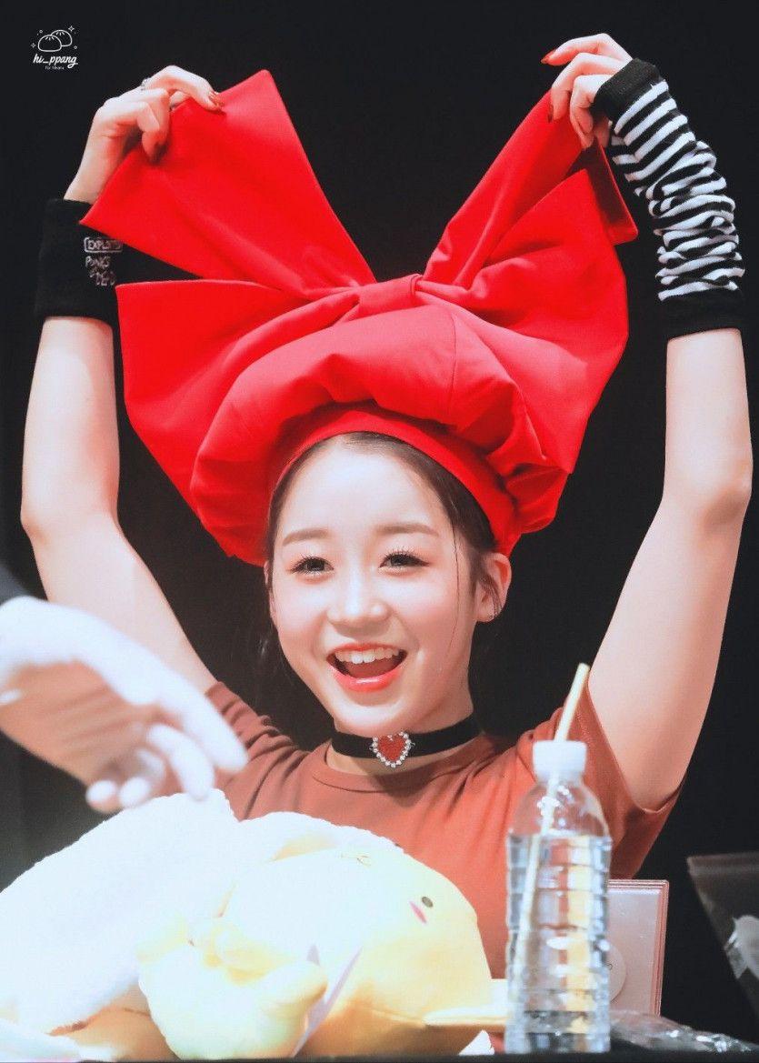 케플러 에자키 히카루1
