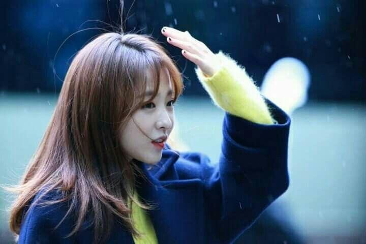 박보영0
