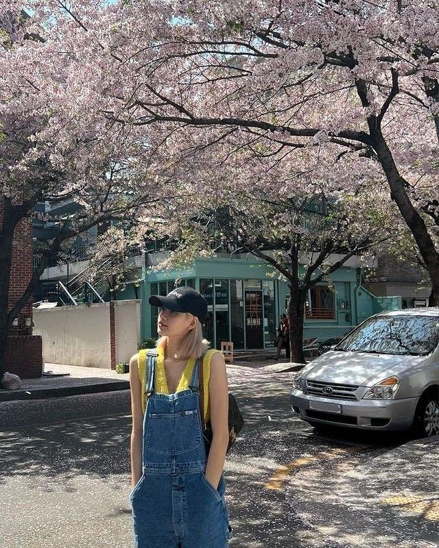 BLACKPINK LISA3