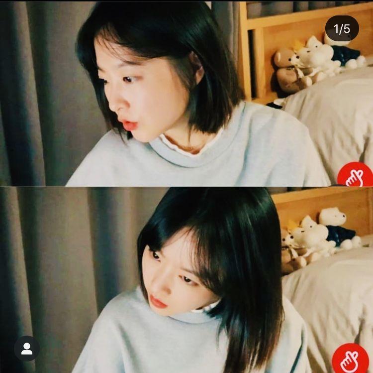 박보영0