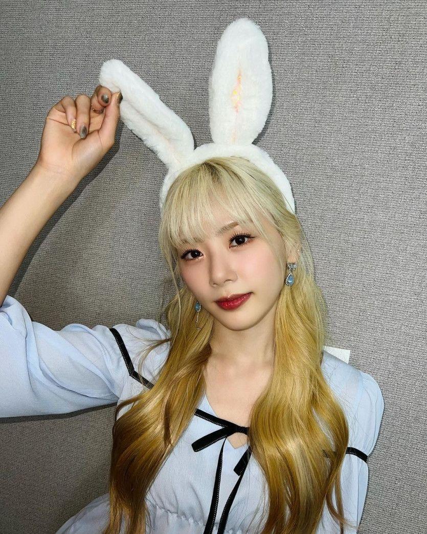 DREAMCATCHER JIU3