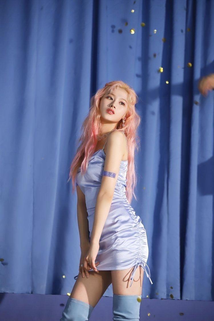 트와이스 사나0