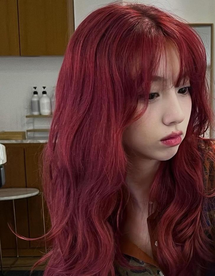 방송인 모음 21