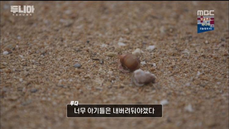 하는 짓 자체가 웃긴 우주소녀 루다4