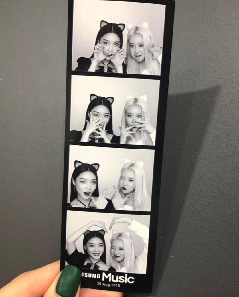주이좌랑 사진찍은 청하1
