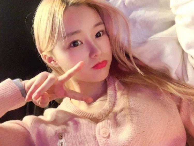 PIXY dajeong2