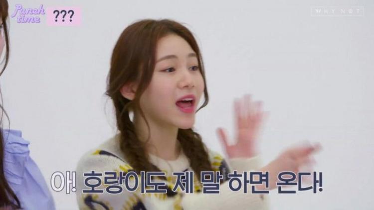 오늘의 쥬리1