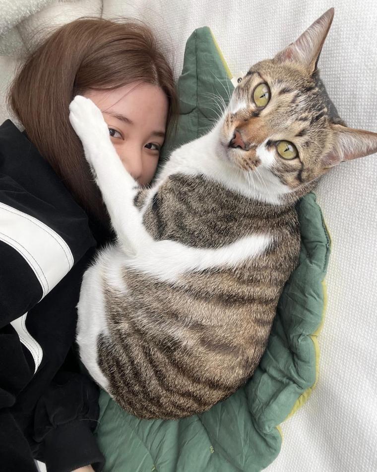 에이핑크 초롱0